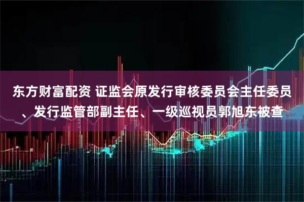 东方财富配资 证监会原发行审核委员会主任委员、发行监管部副主任、一级巡视员郭旭东被查