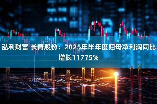 泓利财富 长青股份:2025年半年度归母净利润同比增长11775%