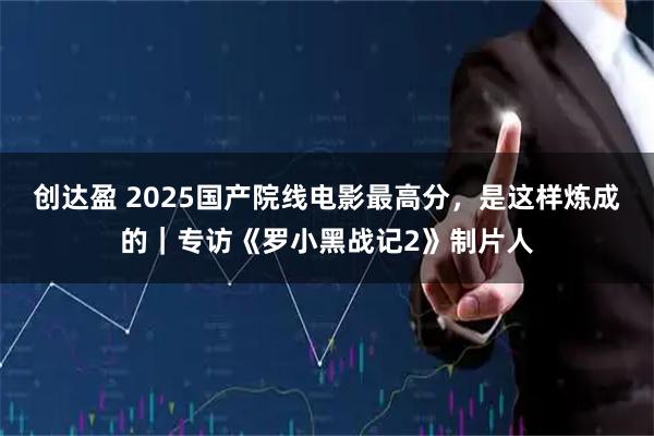 创达盈 2025国产院线电影最高分，是这样炼成的｜专访《罗小黑战记2》制片人