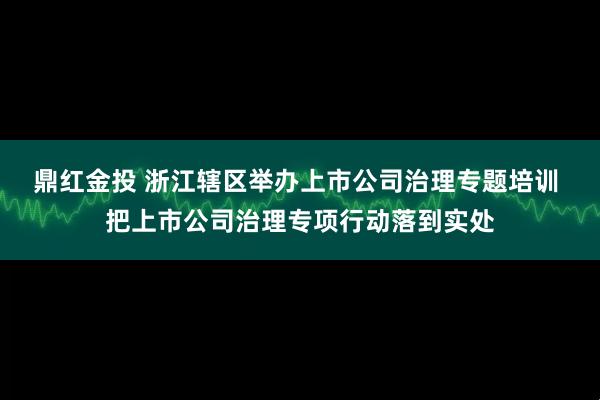 鼎红金投 浙江辖区举办上市公司治理专题培训 把上市公司治理专项行动落到实处