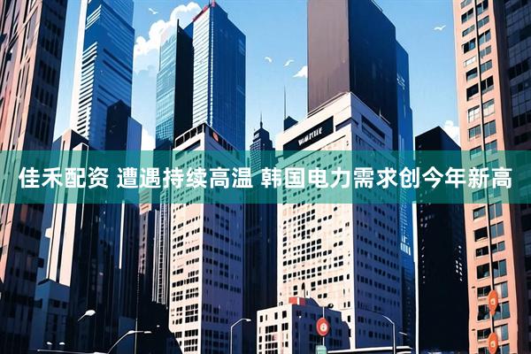 佳禾配资 遭遇持续高温 韩国电力需求创今年新高