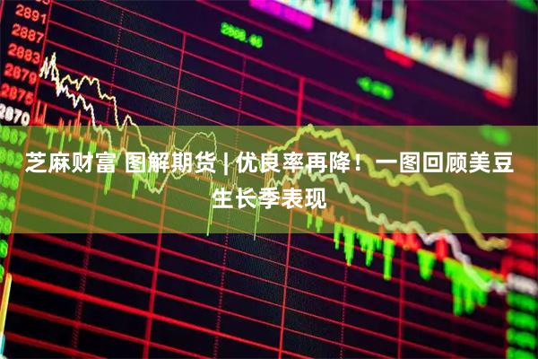 芝麻财富 图解期货 | 优良率再降！一图回顾美豆生长季表现